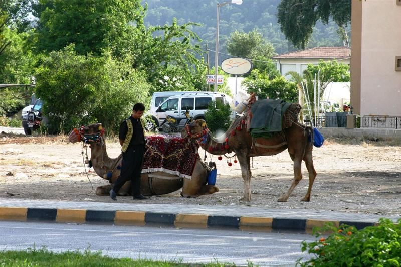 Hoteluri vizitate Kemer
